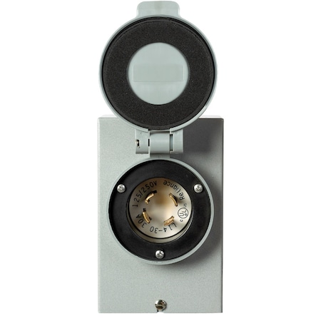 Reliance Controls Single Throw Safety Switch, 125/250V AC, 30A PB-30